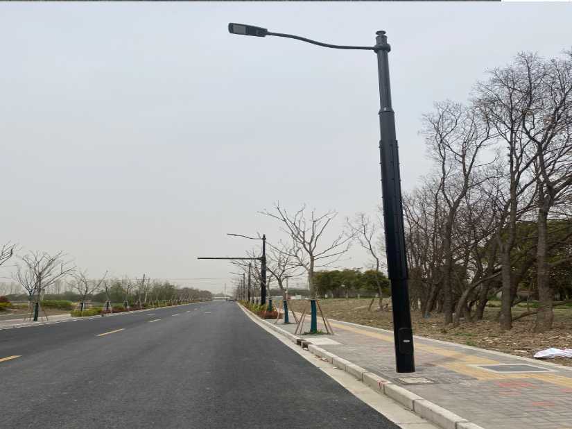 东营区上海综合杆 太阳能路灯工程